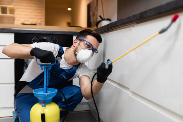 Reliable Superior, NE Pest Control Solutions